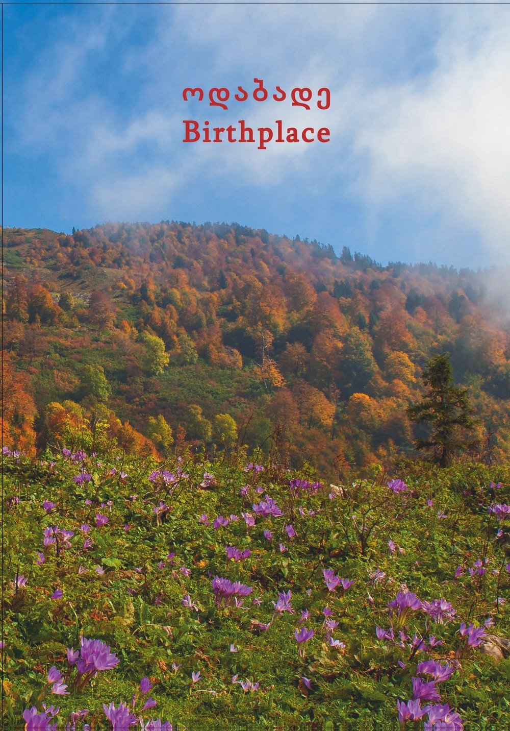 ოდაბადე · Birthplace